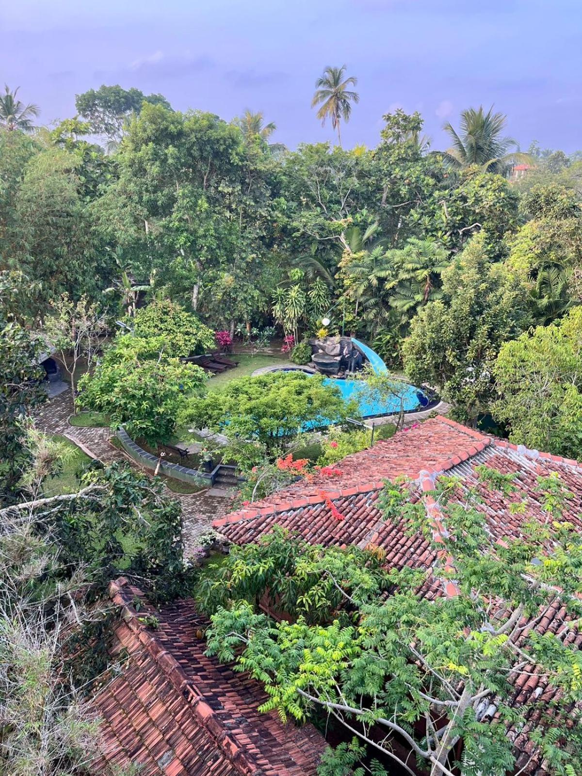 Villa 80 Bentota Ngoại thất bức ảnh